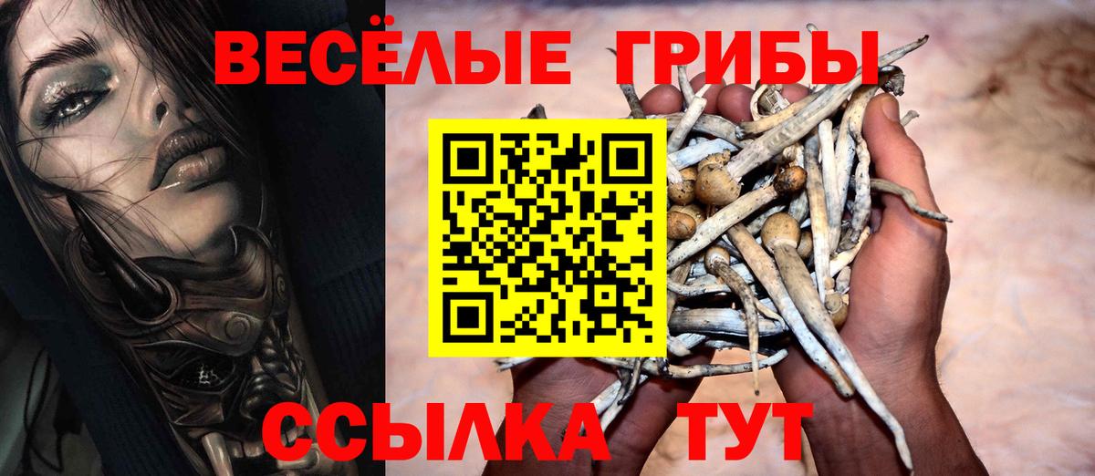 Коммунар  Галлюциногенные грибы ЛСД  Вход с VPN 